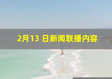 2月13 日新闻联播内容